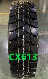 CX613